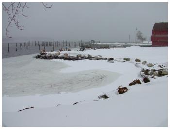 An inlet from Belfast Harbor at Heritage Park. (Photo by Ethan Andrews)
