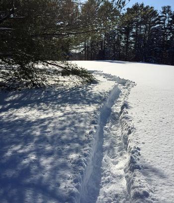 The snow was deep and snowshoes were a must on the trek to check on the honeybees in Merryspring Nature Park Feb. 24. (Photo by Holly S. Edwards)