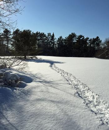 If you get a chance, talk a trek out to Merryspring Nature Park before the snow goes away. You’ll be glad you did. (Photo by Holly S. Edwards)