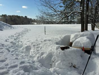The trek to the honeybee hive near Lily Pond was arduous due to a lack of snowshoes at this point in the trip. But here, the overwintering bee colony was alive and well. (Photo by Holly S. Edwards)