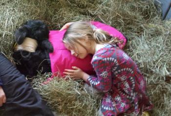 And of course, Yah-Yah gets a little love too. (Courtesy Aldermere Farm)