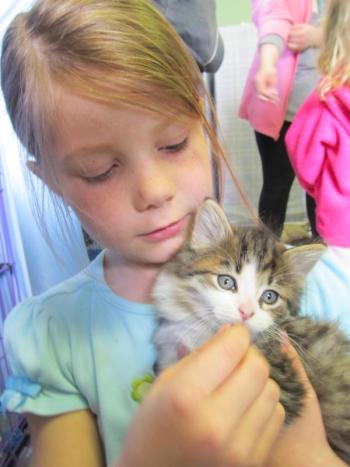 Laura Burgess, 8, holding one of the kittens. (Photo by Kay Stephens)
