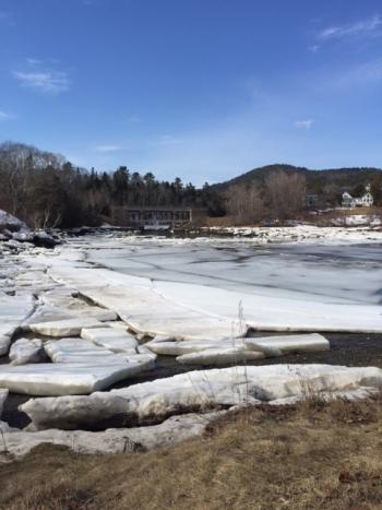 ducktrap ice