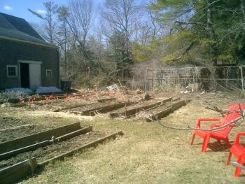 our garden