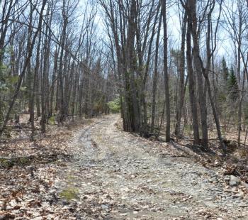 The Martin Corner Road travels through the woods before it intersects with the Moody Mountain Road. Nobody lives on this section of the road.