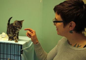 P.A.W.S. Animal Adoption Center Executive Director Amie Hutchison and one of the kittens the shelter has that is just about ready to be available for adoption. (Photo by Holly S. Edwards)