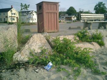 What’s wrong with this scene?
Photo by Diane O’Brien beach