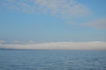 A fog bank approaches Cape Rosier. (Photo by Lynda Clancy)
