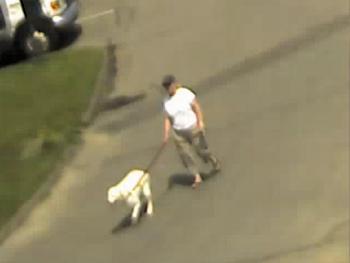 Rockport Police are seeking the identity of this woman, who was seen with her dog at Marine Park on the waterfront around noon Wednesday, July 29. (Courtesy Rockport Police Department)