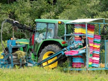 Aaron Smith operates the tractor while Jeff Boudreau monitors the blueberries as they fill the plastic trays. (Photo by Holly S. Edwards)