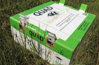 John Boyington buys bumblebees to augment the rented honeybees that pollinate his blueberries. This is the box they come in, and unlike honeybees, bumblebees as a colony don’t overwinter, only the queen does and she burrows underground until spring. (Photo by Holly S. Edwards)