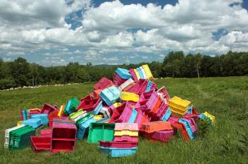 Plastic trays, or totes, stamped with the Wyman’s blueberry processing company, are piled up in a field in Hope Friday waiting to be filled with the day’s crop of harvested fresh wild blueberries. (Photo by Holly S. Edwards)