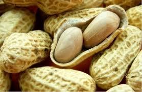 Goober peas (aka peanuts).