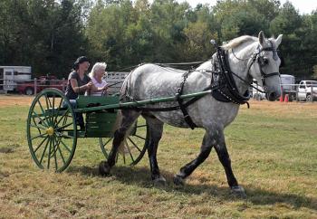 Common Ground Country Fair 2014 (Photo by Holly S. Edwards)