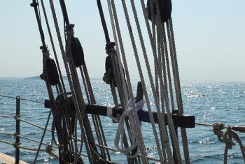 Through the rigging of the Appledore.