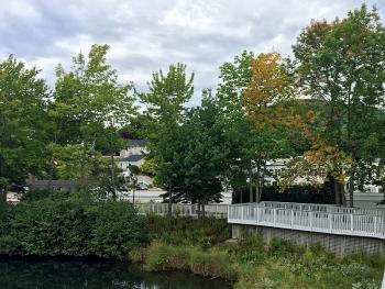 The first signs of the coming fall are appearing in the Midcoast, and cool nights will speed the transformation over the coming weeks. (Photo by Holly S. Edwards)