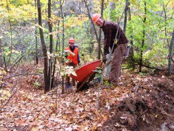 Erosion Control. (Photo Courtesy of Karen Brace)