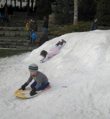 (Photo Courtesy of Camden Public Library)