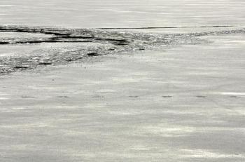 Footsteps on the ice. (Photo by Holly S. Edwards)