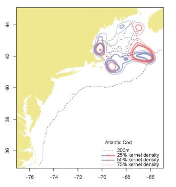 Atlantic cod distribution over time is depicted in this kernel density plot. Blue represents the 1970s and red the last three years (2013-2015). Credit: Kevin Friedland, NEFSC/NOAA