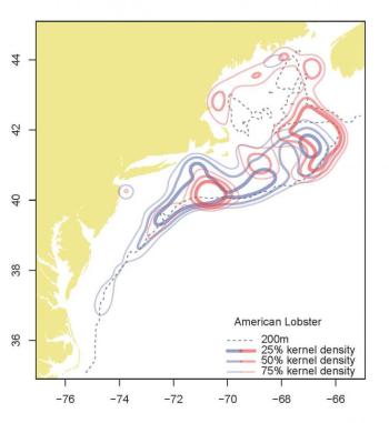 A kernel density plot showing change in distribution of American lobster from the 1970s (blue) to the current period, 2013-2015 (red). Credit: Kevin Friedland, NEFSC/NOAA