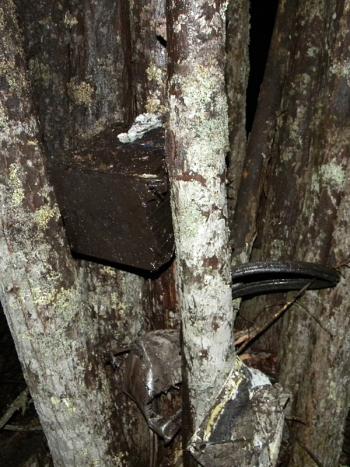 Pieces of Caleb Byrus’ grandmother’s car, which he was driving with two teenage girls as passengers, remained lodged in trees after the crash. (Courtesy Knox County Sheriff’s Office)