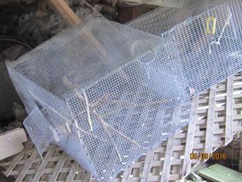 These bird cages, though, may come in handy some day.
Photo by Diane O’Brien cages