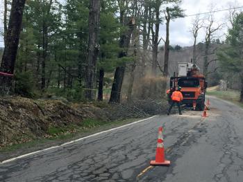 A Maine Department of Transportation tree crew works along Route 105 in Camden, near Carle Farm Road, Tuesday morning. (Photo by Holly S. Edwards)