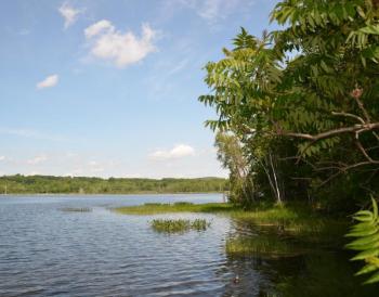 Grassy Pond, looking toward Route 17, at the Rockport-Hope town line. (Photo by Lynda Clancy)