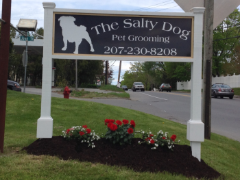 Photo courtesy The Salty dog