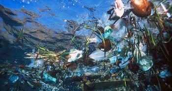 (Photo courtesy Surfrider Foundation)