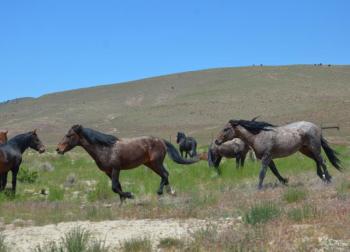(Photo by Lynda Clancy)