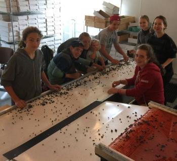 If you find an errant leaf or stem in your Elderflower Farm organic Maine wild blueberries, it’s because this crew paused for a photo while the conveyor belt kept rolling! (Photo by Holly S. Edwards)