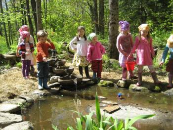 frog pond