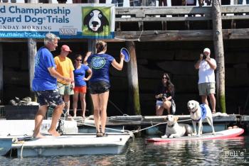 Travis and his brother, Charlie, on the paddleboard, along with owners Chris and Carolyn Groobey, from Annapolis, Md. (Photo courtesy Debra Bell, Bell’s Furry Friends)
