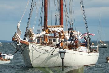 The Schooner Ladona, formerly the Bowditch, makes its way into Camden Harbor.