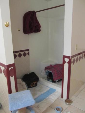 Quarantine space is so limited, they’ve had to utilize the men’s and women’s restrooms for the kittens to recuperate. (Photo by Kay Stephens)