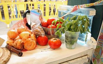 Still life under Bridget Qualey’s tent on the publc landing. (Photo by Holly S. Edwards)