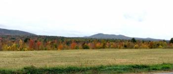 Driving along Route 52, north of Lincolnville Center, this field offers a colorful palette across both the trees in the foreground and those on the mountains in the background. (Photo by Holly S. Edwards)