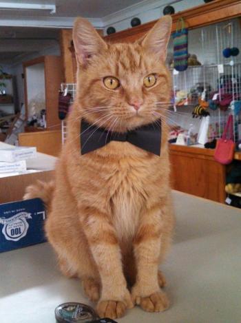 The name is Bond...James Bond (Photo and caption by Stacey Warner)