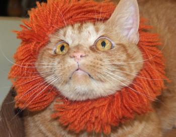 James, the Warner Graphics cat, donned a lion’s mane to roar out a Halloween hello.