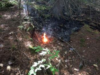 A small amount of flames was found down on Peasetown Road in Hope late Wednesday morning, Oct. 5, the result of a smoldering fire caused by a lightning strike to a tree nearly four weeks earlier. (Courtesy Hope Fire Department)
