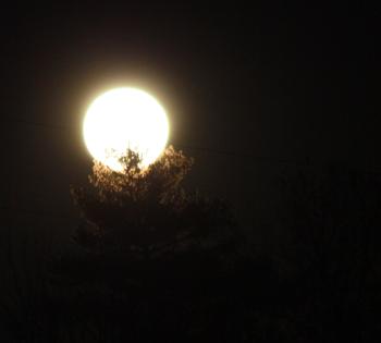The supermoon, photographed without a tripod, on Route 52 in Lincolnville Nov. 14. (Photo by Holly S. Edwards)