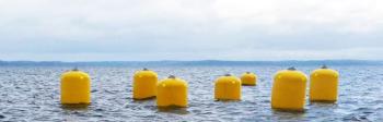 Buoys mark an underwater mussel raft. Courtesy of Carter Newell