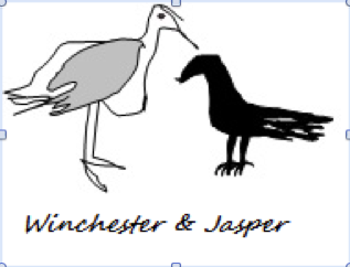 Winchester and Jasper, two characters in Tom Crowley’s just-published book, Gulls and Crows.
Image courtesy of Tom Crowley gulls and crows