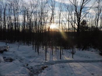 late afternoon
