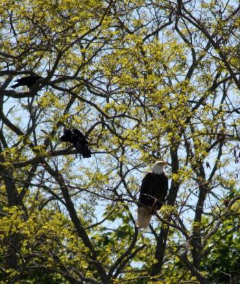 (Photo by Holly S. Edwards)