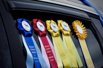 Award ribbons. (Courtesy Chelsea Lord)