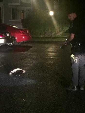 Just a few days later, Cox befriended a skunk who had a peanut butter jar stuck on his head. (Photo courtesy of Rockland Police Department)