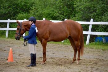 Adult Showmanship Masha Faulkner showing Nellie. (Courtesy Chelsea Lord)